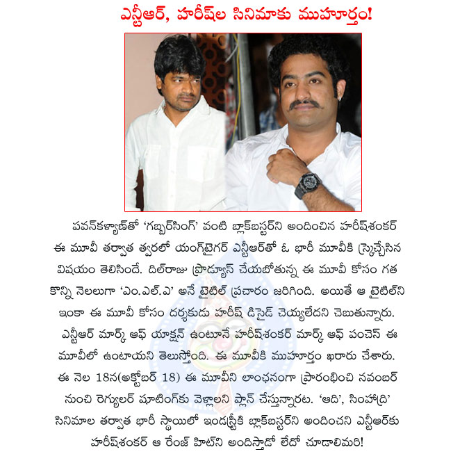 jr ntr,harish shankar,jr ntr and harish shankar movie details,october 18,mla movie details,young tiger ntr,gabbar singh director,harish shankar with jr ntr  jr ntr, harish shankar, jr ntr and harish shankar movie details, october 18, mla movie details, young tiger ntr, gabbar singh director, harish shankar with jr ntr